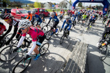 Eikerrittet2015-9